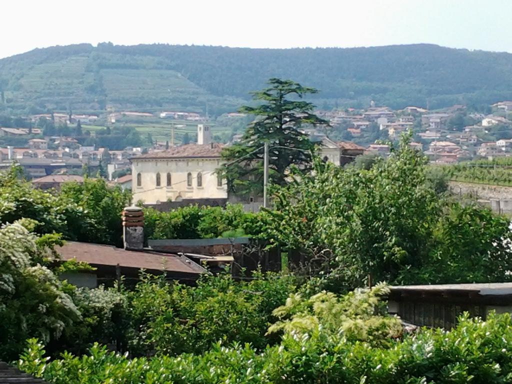 Agriturismo Corte Galvani เนกรา ภายนอก รูปภาพ