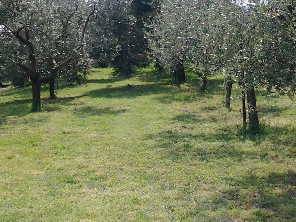 Agriturismo Corte Galvani เนกรา ภายนอก รูปภาพ